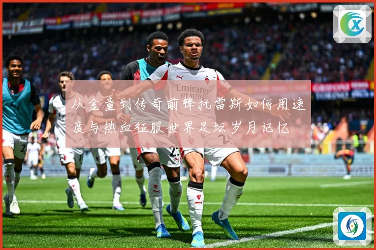 从金童到传奇前锋托雷斯如何用速度与热血征服世界足坛岁月记忆