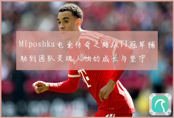 Miposhka电竞传奇之路从TI冠军辅助到团队灵魂人物的成长与坚守